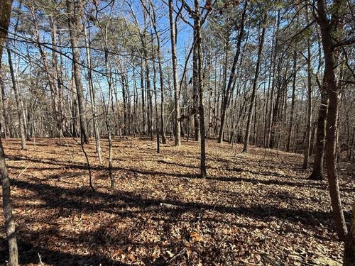 0 Grindle Bridge Rd, Dahlonega, GA, 30533 | Card Image