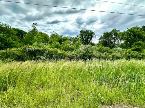 PARCEL "4" Braidwood Road, Riley Township, MI, 48041 | Card Image