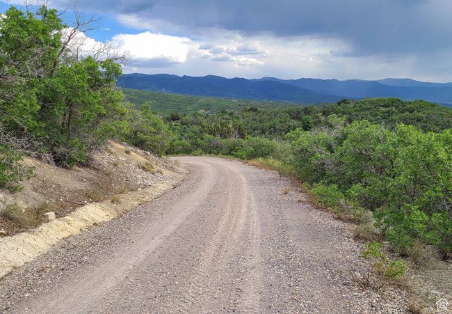 View of mountain background with a heavily wooded area | Image 4