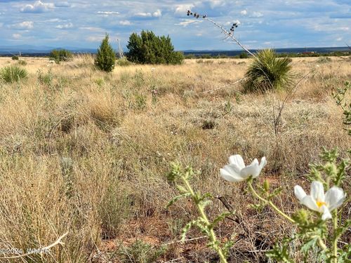 5494 Glasglow Dr, Snowflake, AZ, 85937-0330 | Card Image