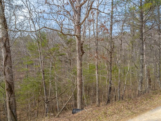 Lot12/14 Lake Forest Lane, Home with 0 bedrooms, 0 bathrooms and null parking in Bland VA | Image 28