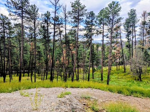 142 Sunset Dr, Alto, NM, 88312-9687 | Card Image