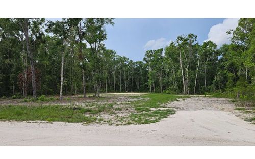 TBD 288th Ter, BRANFORD, FL, 32008 | Card Image