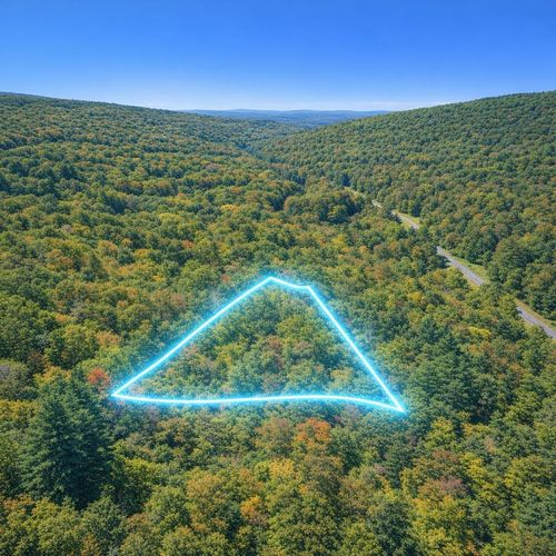 LOT 169 Forest Ridge Trl, FORT VALLEY, VA, 22652 | Card Image