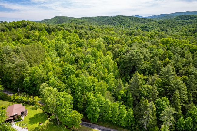 000 Cane Creek Mountain Rd, Home with 0 bedrooms, 0 bathrooms and null parking in Tellico Plains TN | Image 26