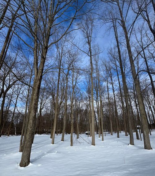 V/L Timberlane Drive, Jones, MI, 49061 | Card Image