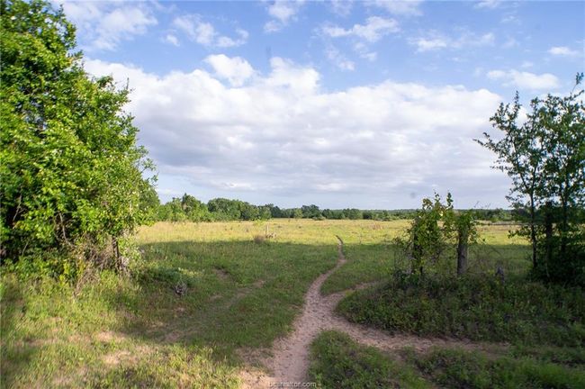 9525 S Hickory Loop County Road, Home with 0 bedrooms, 0 bathrooms and null parking in Calvert TX | Image 5