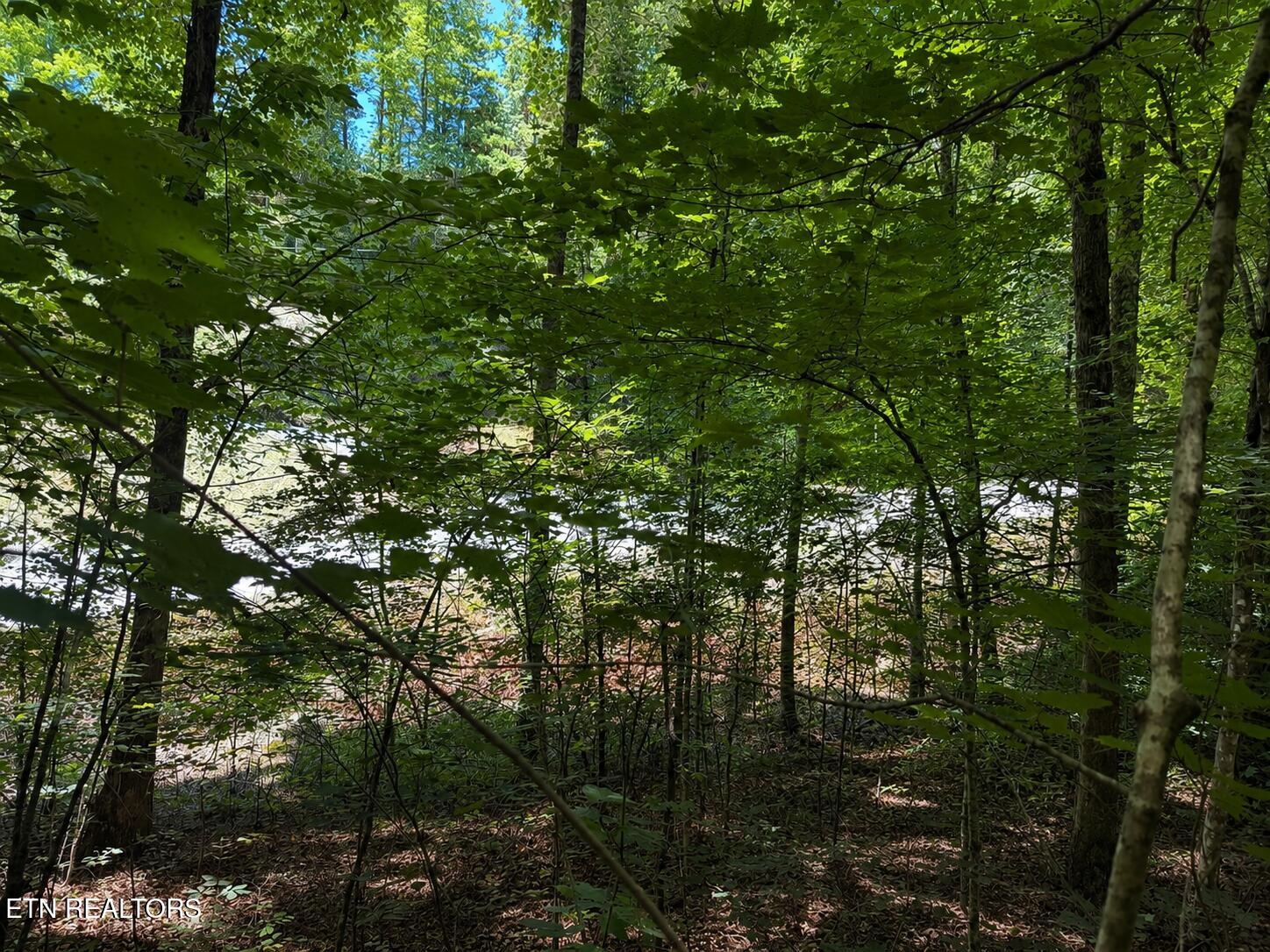 Land in Sevierville 4