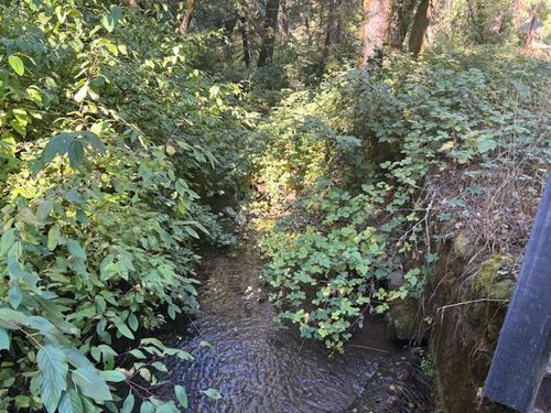 2936 Independence Rd, Mokelumne Hill, CA, 95245 | Card Image