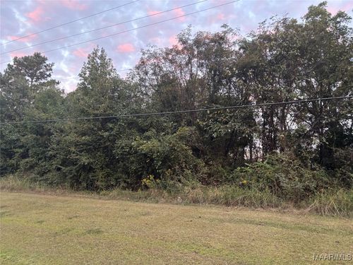 2075 County Road 81, Valley Grande, AL, 36703 | Card Image