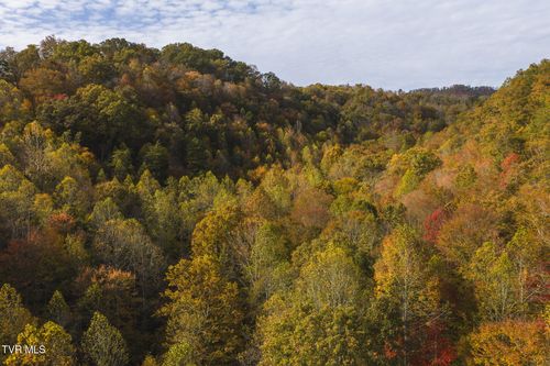 89 Acres Lynn Flanary Rd, Blackwater, VA, 24221 | Card Image