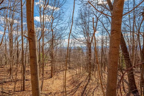 Lot 124 Spring Pond Trl, Fancy Gap, VA, 24328 | Card Image