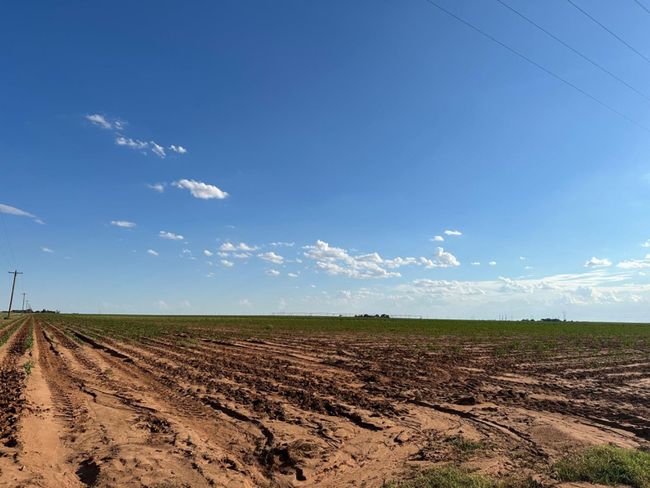 0 Dove, Home with 0 bedrooms, 0 bathrooms and null parking in Ropesville TX | Image 16