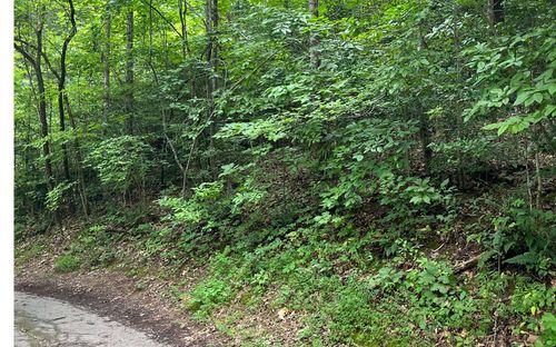 LOT 12 Kilpatrick Point Ter, Hayesville, NC, 28904-7254 | Card Image