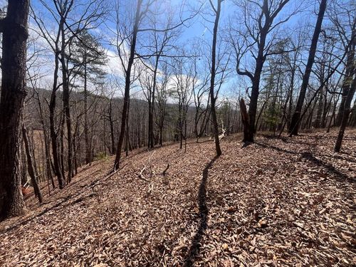 Lt 156 Drena Dr, Ellijay, GA, 30540 | Card Image
