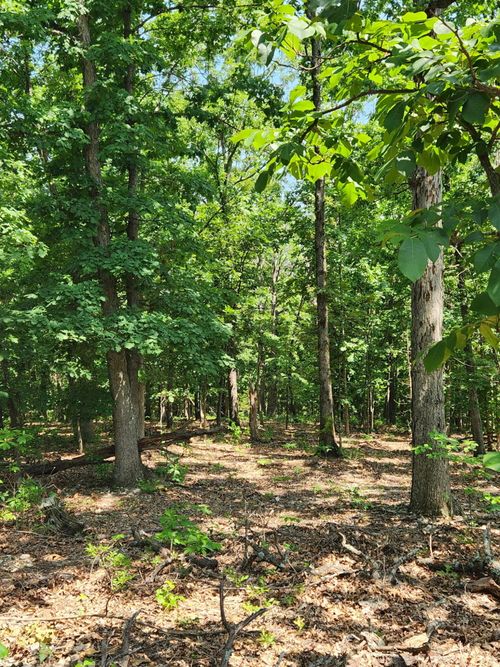 Lot 1 Oriole Lane, Noel, MO, 64854 | Card Image