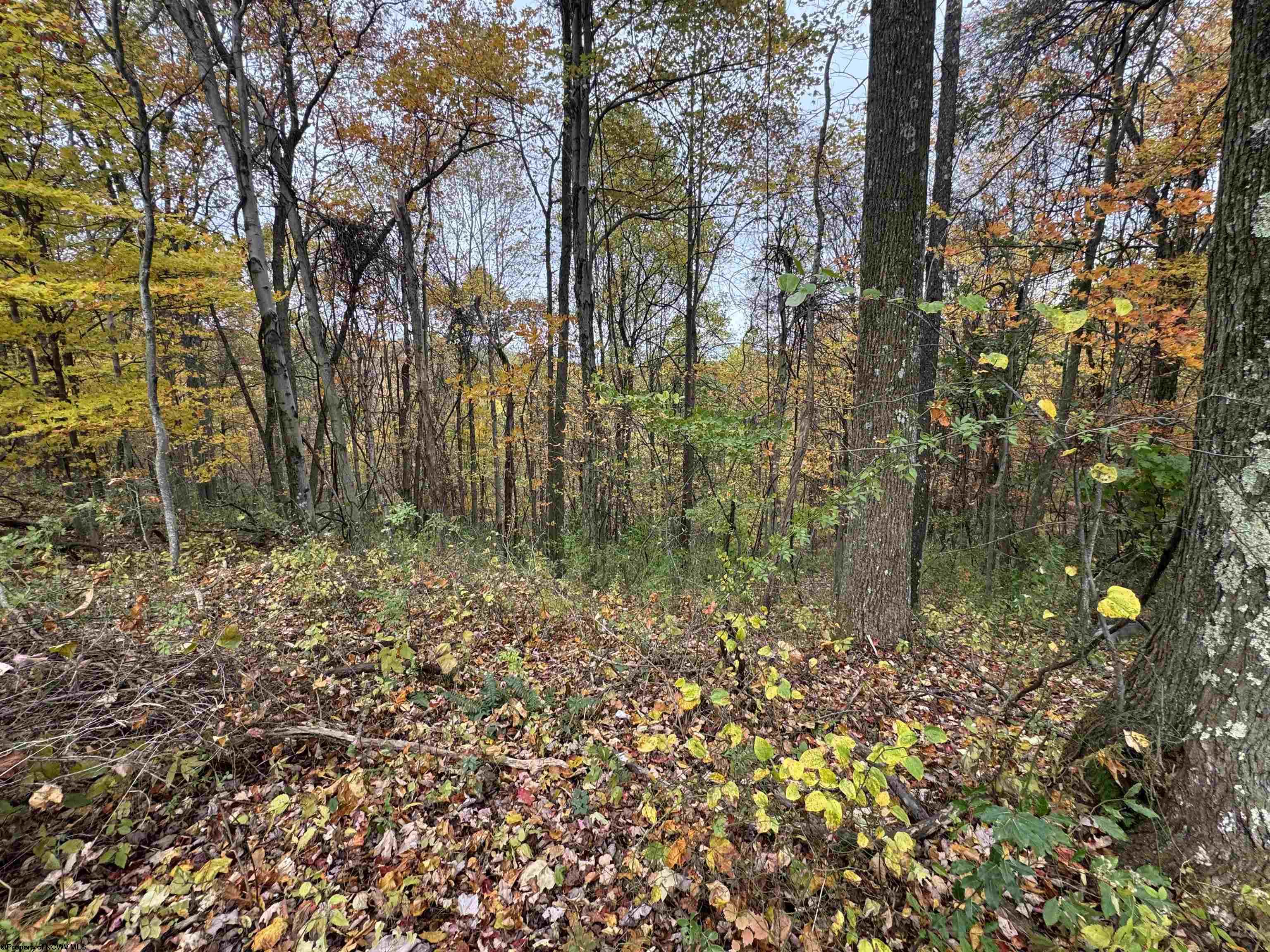 Land in Masontown 5