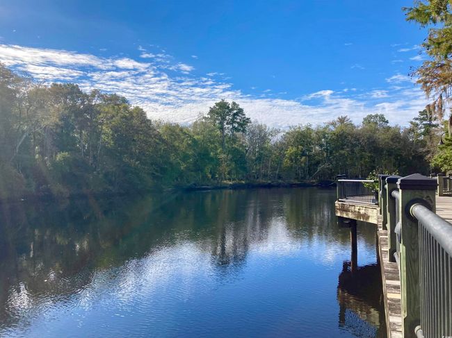 553 Honeyhill Loop, House other with 3 bedrooms, 2 bathrooms and 4 parking in Conway SC | Image 25