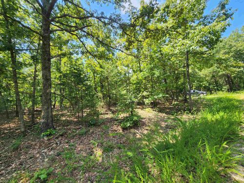 L-1, 2, 3, B-19 Nicatouse Drive, Cherokee Village, AR, 72529 | Card Image