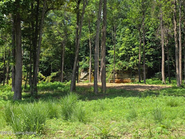 5 Cave Creek Rd, Home with 0 bedrooms, 0 bathrooms and null parking in Falls Of Rough KY | Image 5
