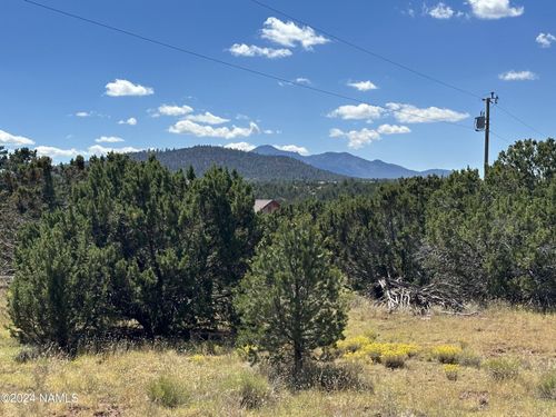 762-1751 E Whitehall Dr, Williams, AZ, 86046-9040 | Card Image