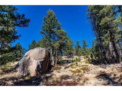 0 Arrowhead Rd, Florissant, CO, 80816 | Card Image