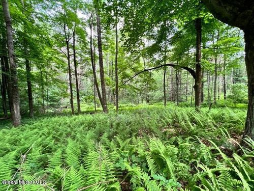 lot-2-L 67.1 Mcgregor Rd, Gloversville, NY, 12078 | Card Image