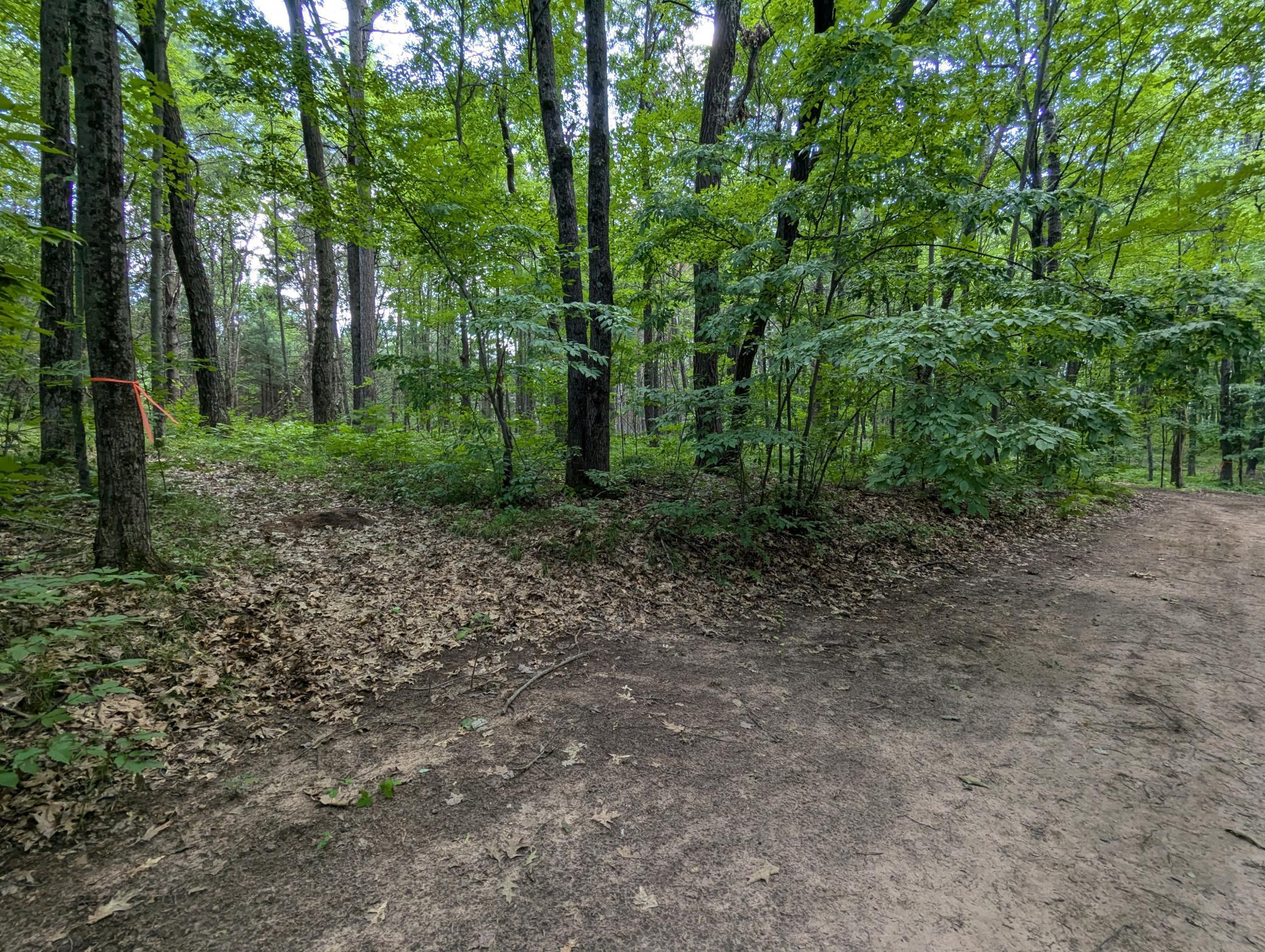 Land in Webster 3
