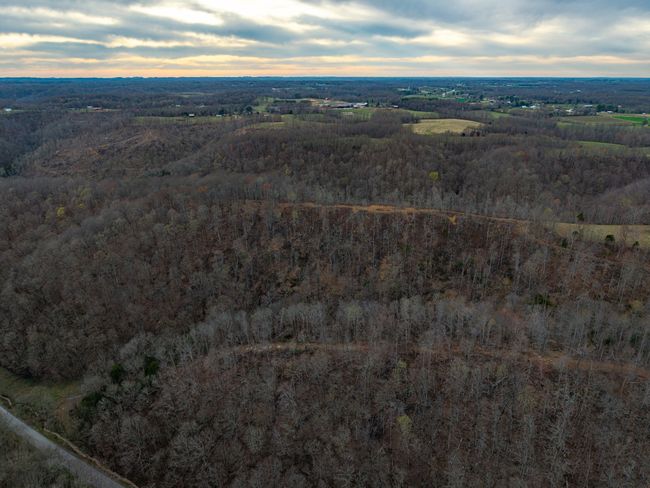 1438 Wartrace Rd, Home with 0 bedrooms, 0 bathrooms and null parking in Red Boiling Springs TN | Image 8