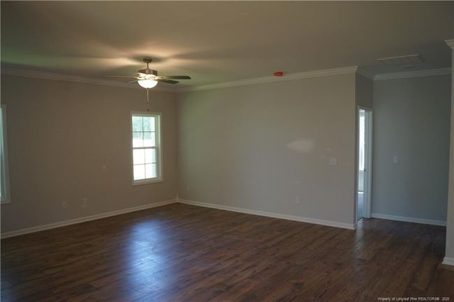 Photo 19 | Image 19
