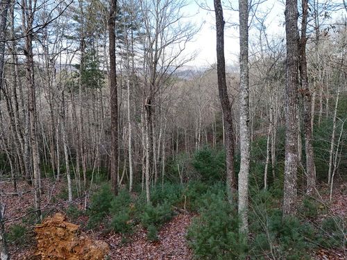 Lot 46 Walker Ridge Way, Mineral Bluff, GA, 30559-2674 | Card Image