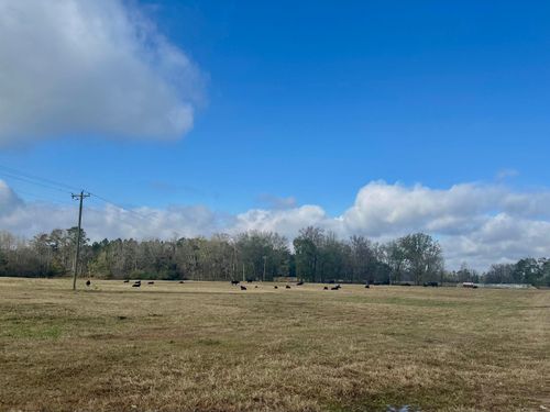 1-1111 Syrup Mill Crossing, Siloam, GA, 30665 | Card Image