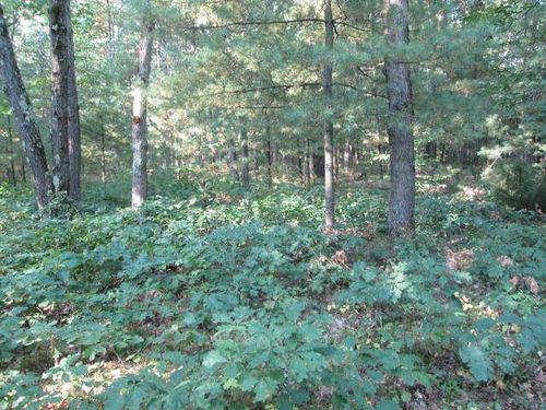 Lot 137&138 Tabor Avenue, Grant Township, MI, 49643 | Card Image