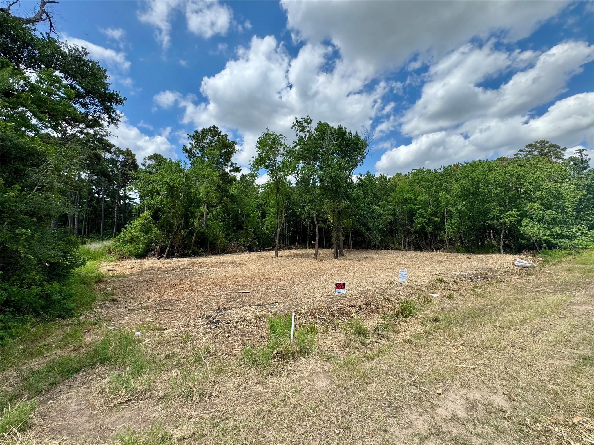 Land in Houston 4