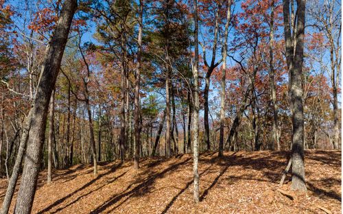 LOT 41 Preserve Trail, Ellijay, GA, 30536 | Card Image