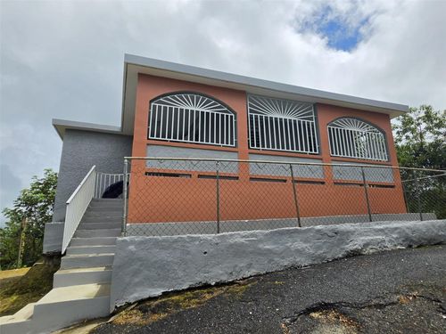 PR 9920 Quebrada Arenas, SAN LORENZO, PR, 00754 | Card Image