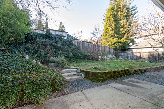 backyard | Image 26