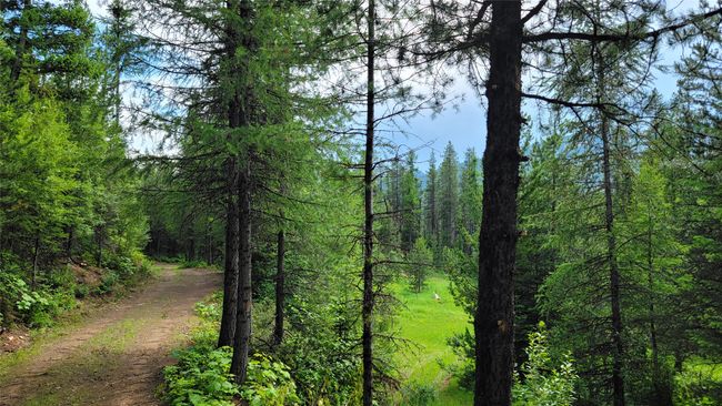 14463 Libby Creek Rd, Home with 0 bedrooms, 0 bathrooms and null parking in Libby MT | Image 7