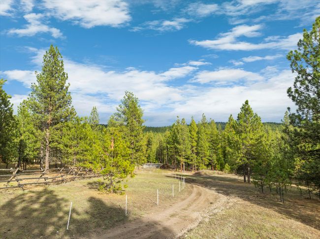 View of road to lower end of property | Image 40