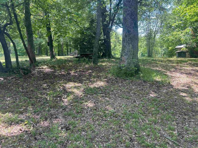 0 Brewer Lake Rd, House other with 1 bedrooms, 1 bathrooms and null parking in Double Springs AL | Image 18