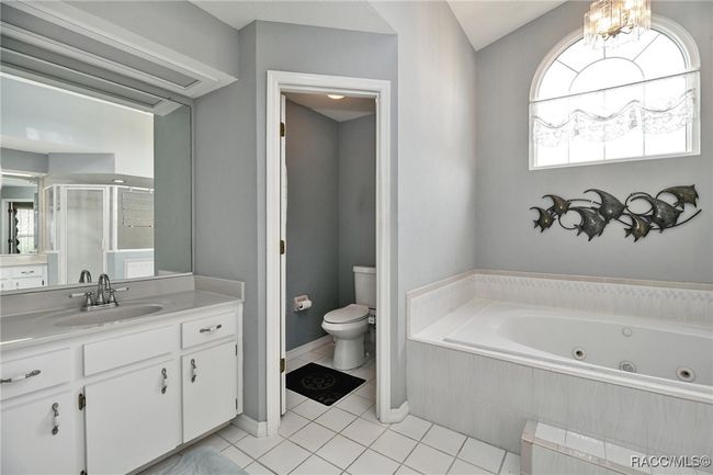 705 E Dakota Ct, House other with 3 bedrooms, 3 bathrooms and 3 parking in HERNANDO FL | Image 16