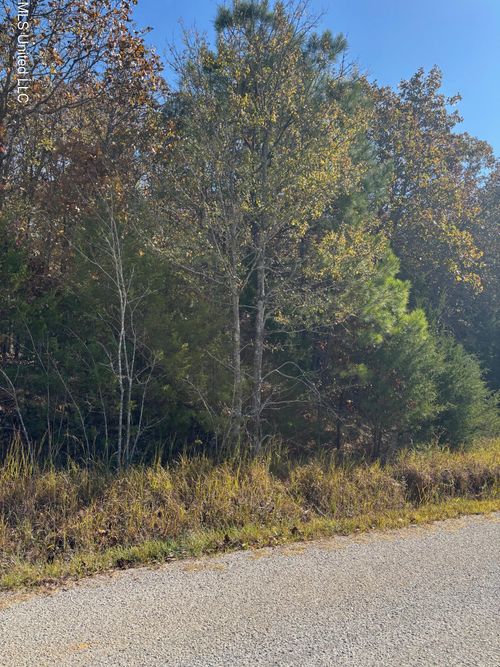 139 David Cv, Byhalia, MS, 38611-8647 | Card Image