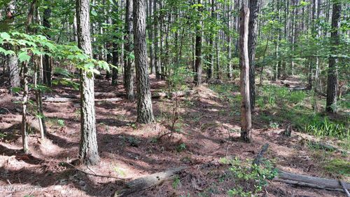 152 Sunset View Lane, Rockwood, TN, 37854 | Card Image