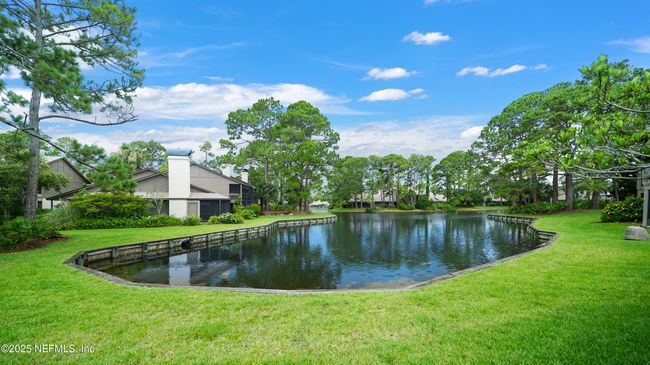 145 Cranes Lake Dr, Condo with 2 bedrooms, 2 bathrooms and null parking in Ponte Vedra Beach FL | Image 24