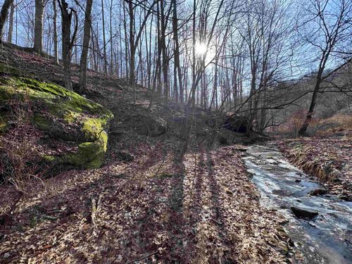 TBD Stone Pot Road, Weston, WV, 26452 | Card Image