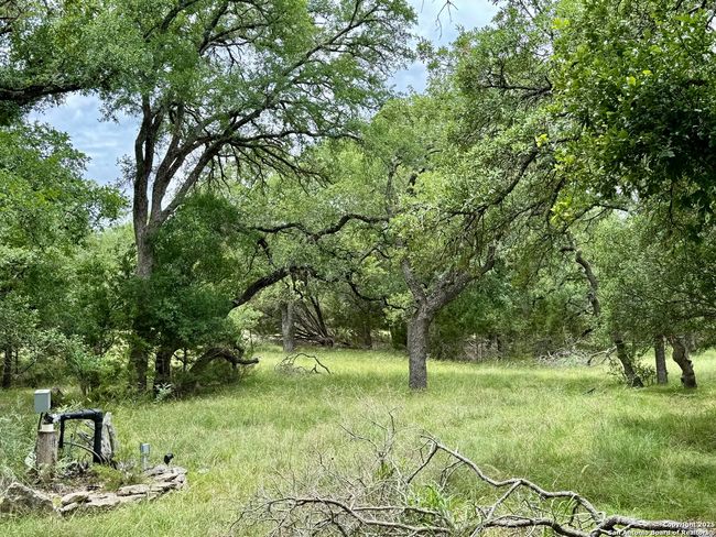 1187 Long Meadow, Home with 0 bedrooms, 0 bathrooms and null parking in Spring Branch TX | Image 9
