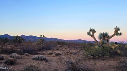 225 Dead Eye Rd, Yucca, AZ, 86438 | Card Image