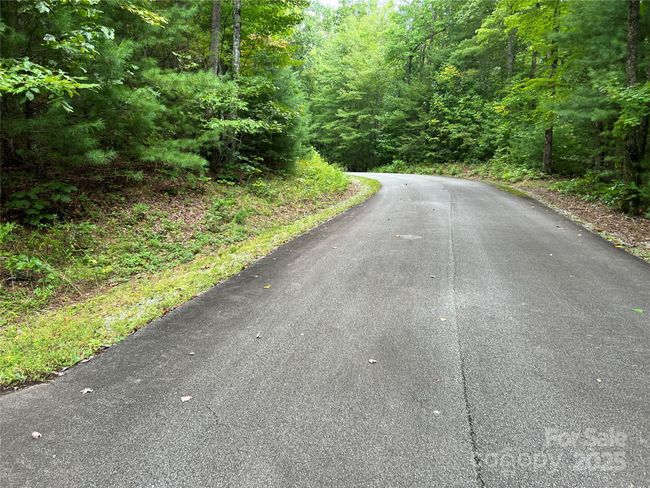4 - 9999 Sassafras Ln, Home with 0 bedrooms, 0 bathrooms and null parking in Cedar Mountain NC | Image 35
