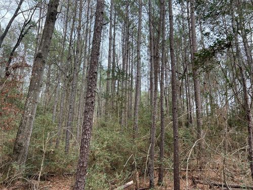 TBD Baxter Road, Livingston, TX, 77351 | Card Image