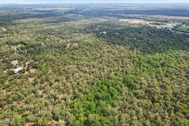Bird's eye view featuring a view of trees | Image 14